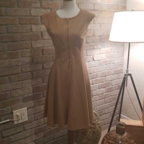 Maggy London Dresses & Skirts - Maggy London Peplum Dress